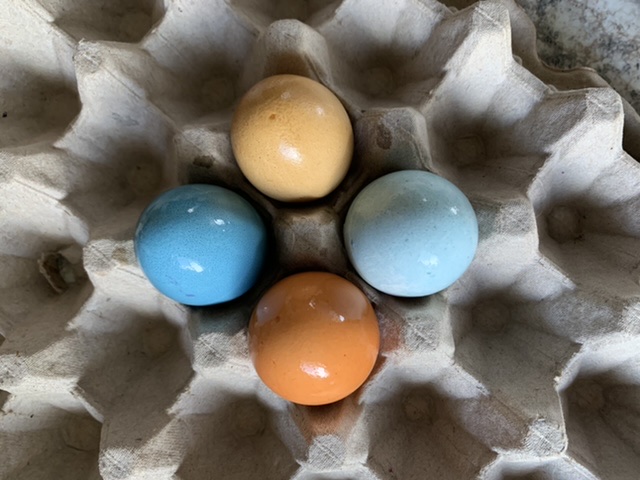 How to Dye Easter Eggs Naturally- A Simple Eco-Friendly DIY
